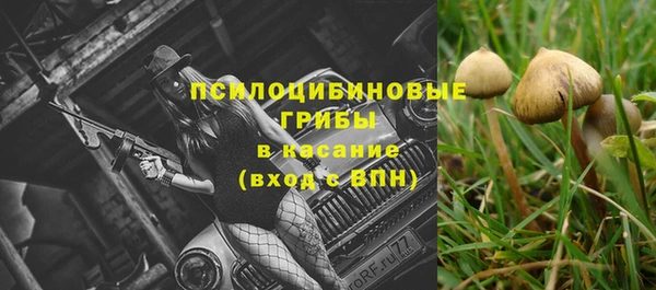 хмурый Волосово